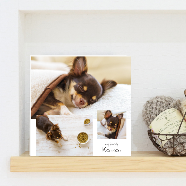 aiphotoスクエア：ペットパネル